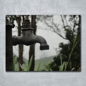 Pipe at Hollywell